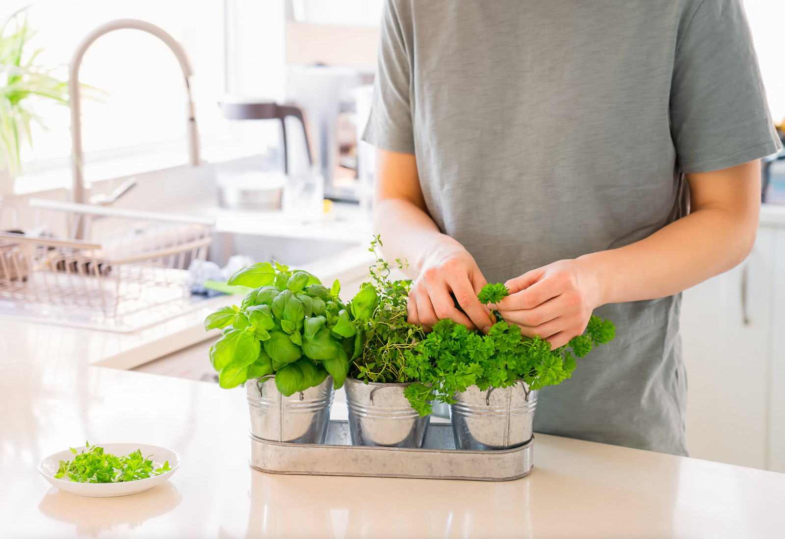 Prostate Herbs and Erectile Dysfunction