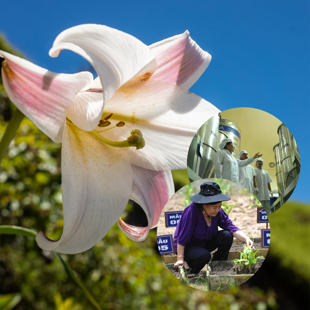 The 7 Basic Principles of Crila® Customer Satisfaction