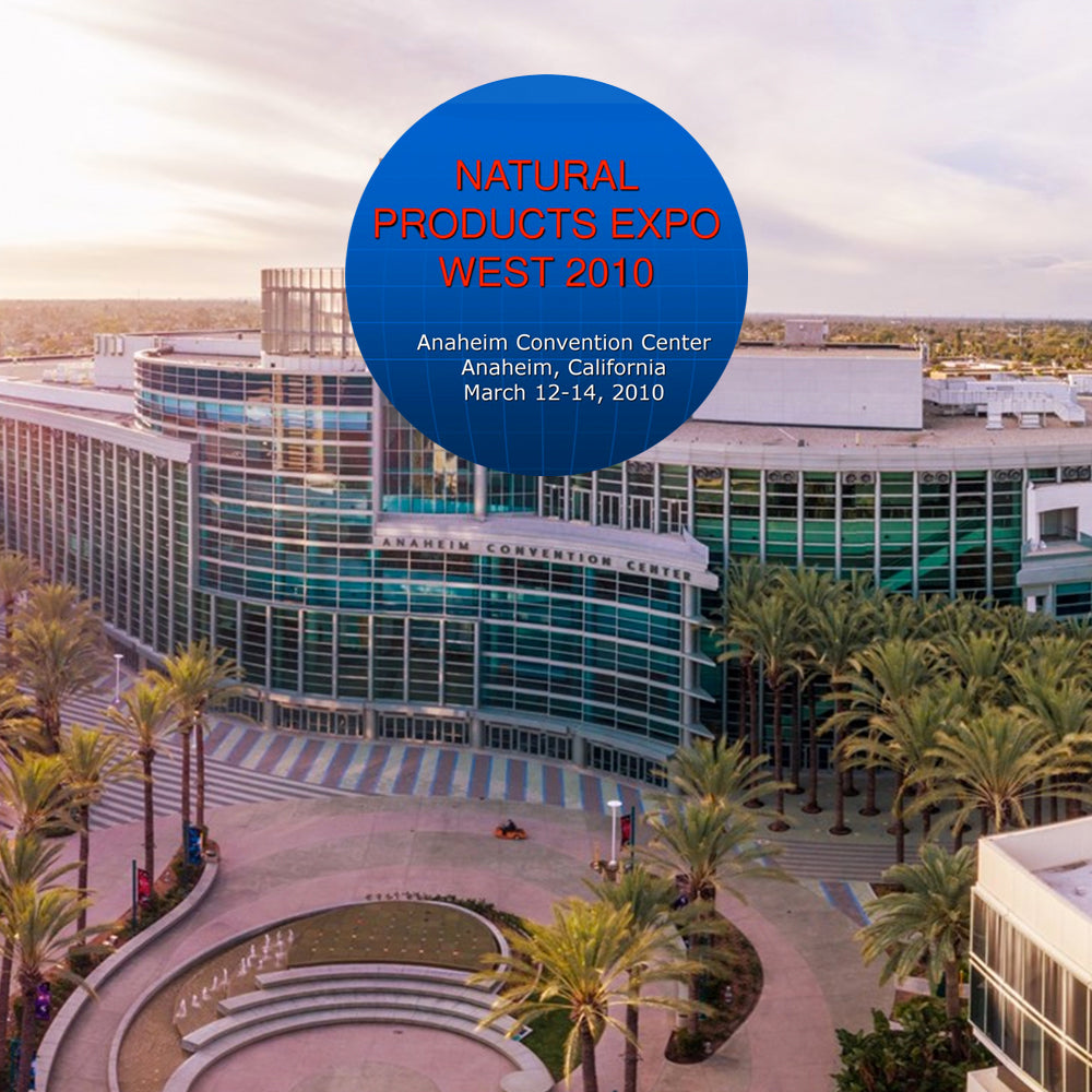 At Google with Mills College Women Entrepreneurs