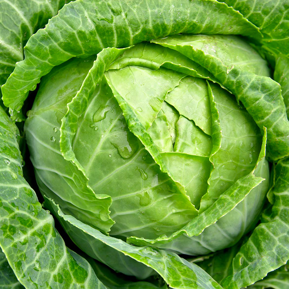 Prostate Health Habits – Today Choose Cabbage!
