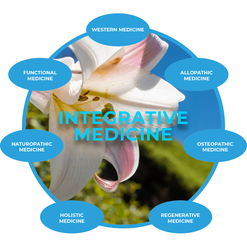 Integrative Medicine in Vietnam - Conventional + Traditional approach