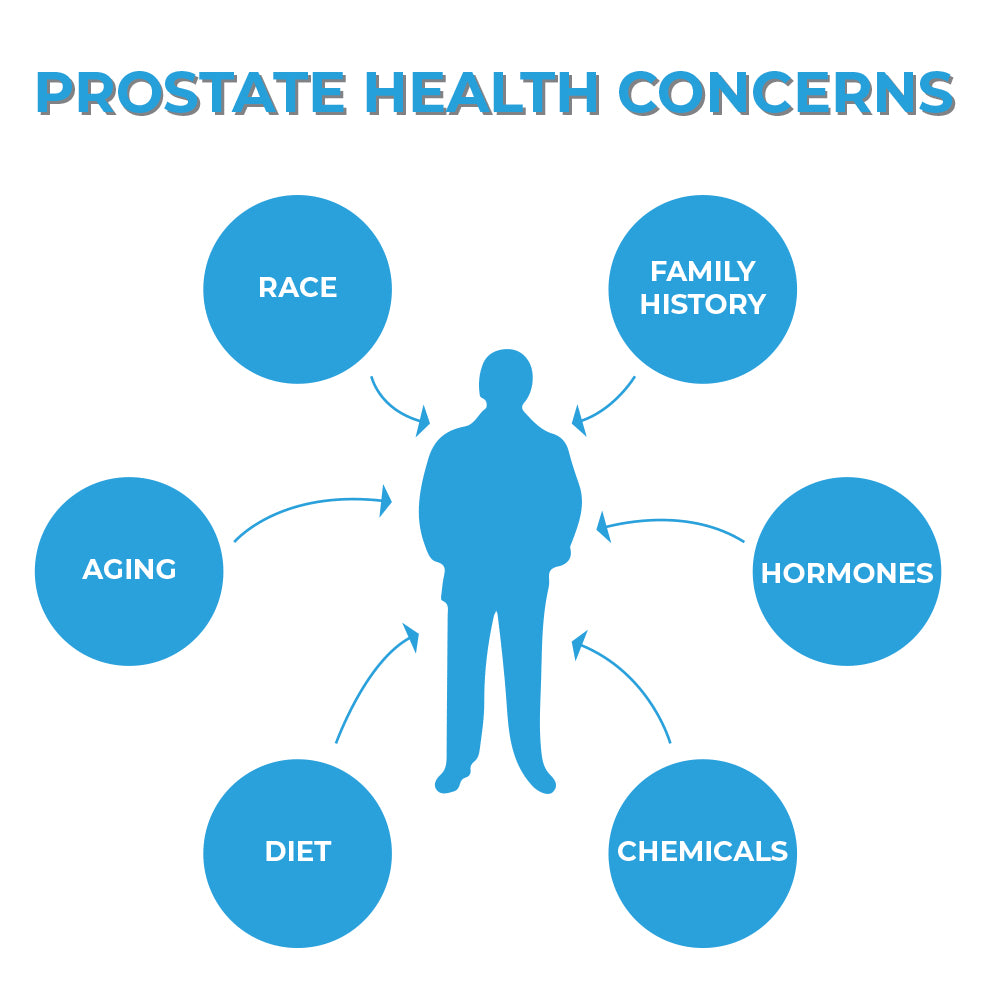 Prostate health concerns – Where can you go for answers?