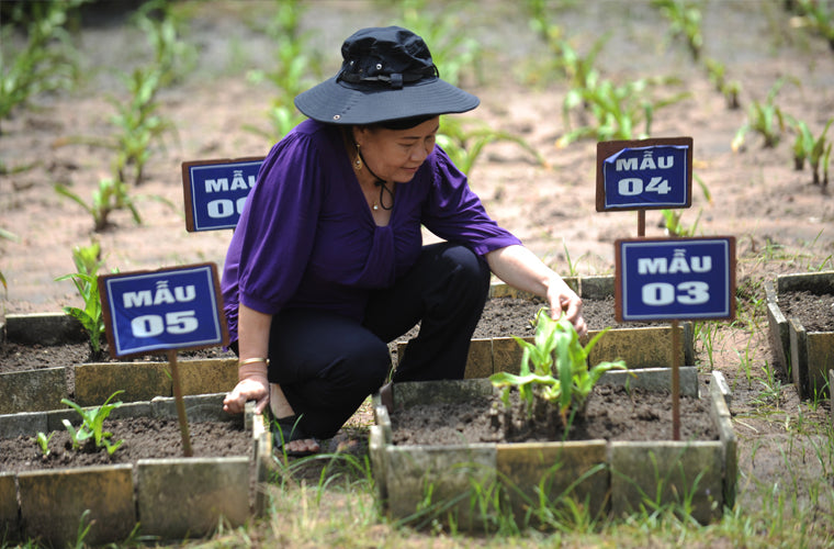 Crila for prostate health natural supplement | free usa shipping  | www.crilaforprostate.com