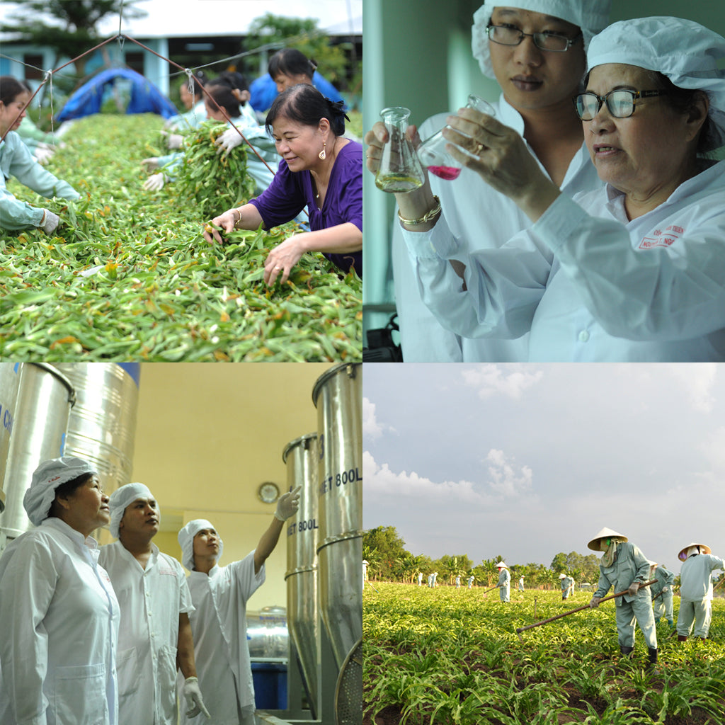 Natural herbal prostate supplement | free usa shipping  | www.crilaforprostate.com